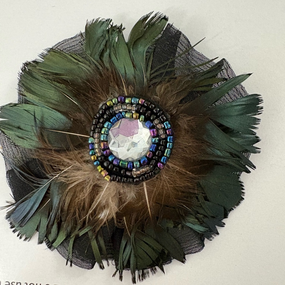 Vintage Feathered Brooch with Gem Center